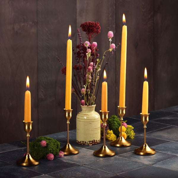 Beeswax Bundle
